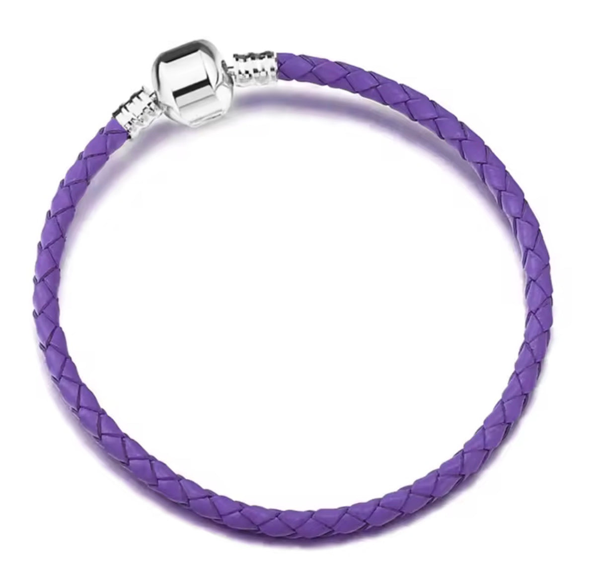 Braided Leather Charm Bracelet with  Silver Clasp