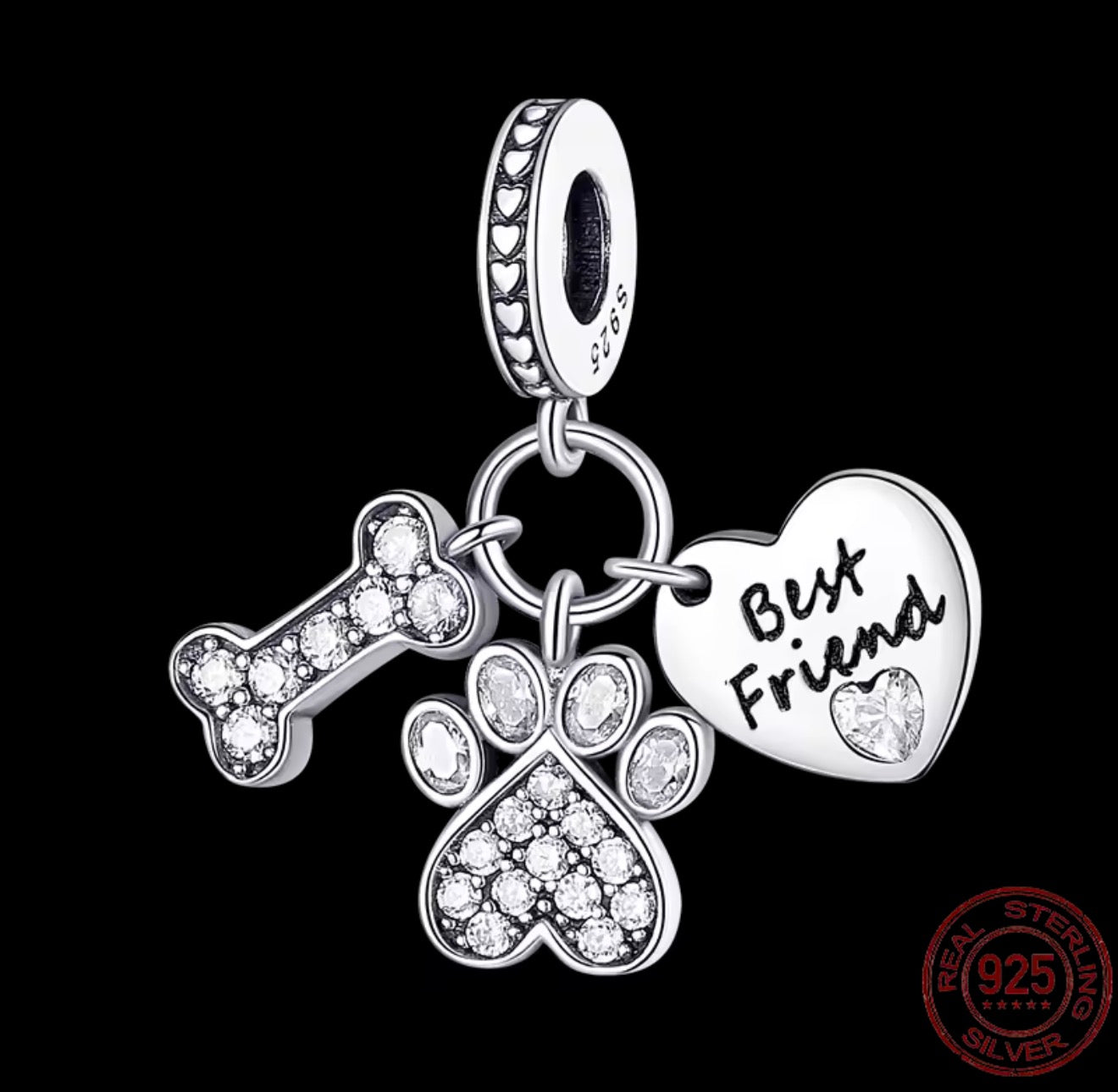 Best Friend Forever Pet Charm